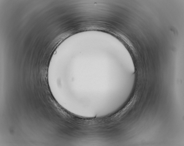 X0000111220793200908131100