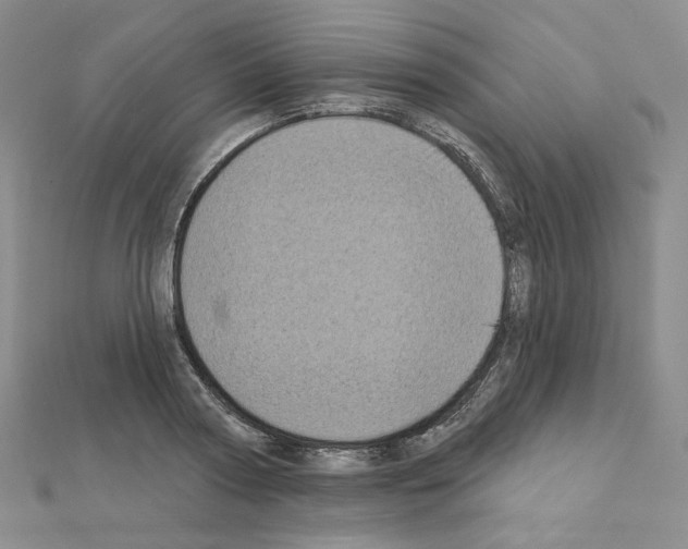 X0000111220794200908131100