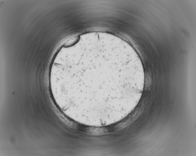 X0000111220795200908131100