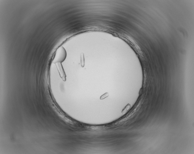 X0000111220796200908131100