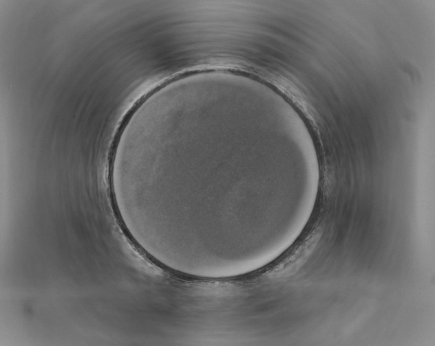 X0000111220797200908131100