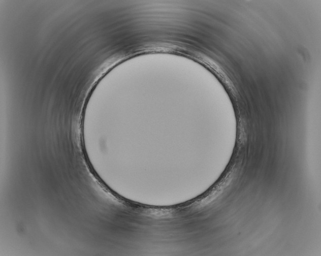 X0000111220802200908131100