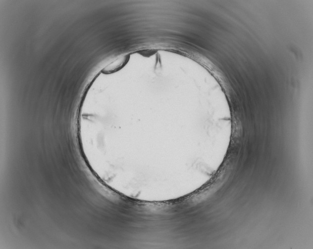 X0000111220803200908131100