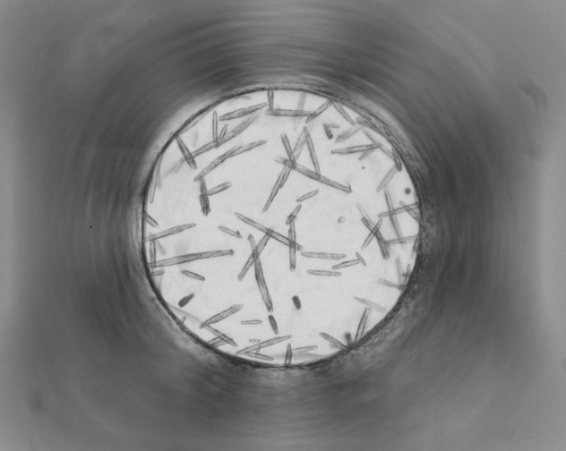 X0000111220804200908131100