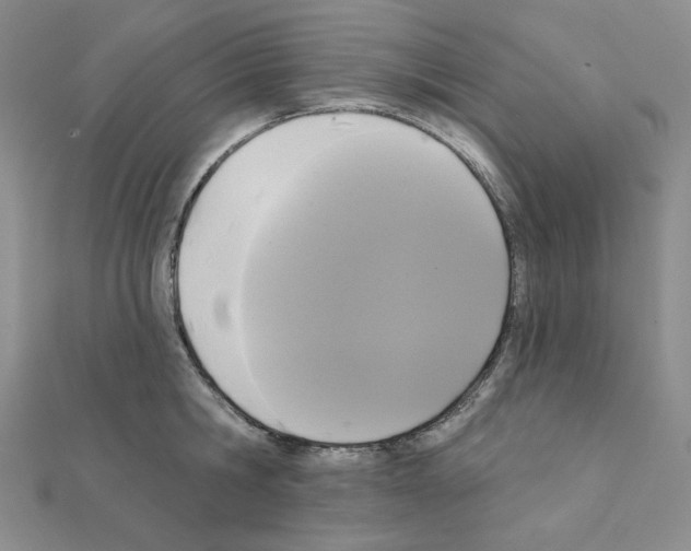 X0000111220806200908131100