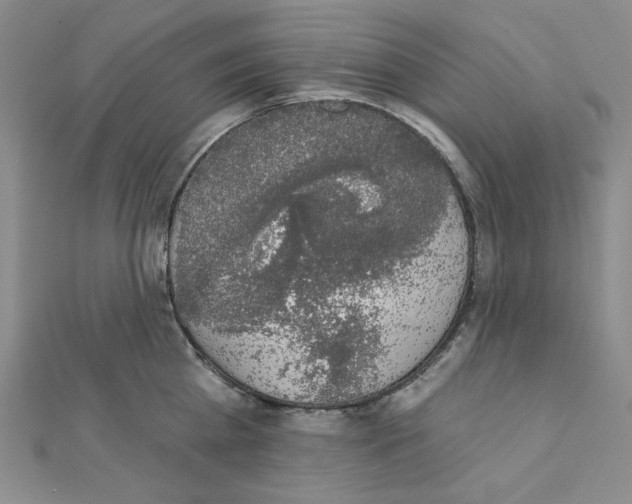 X0000111220809200908131100