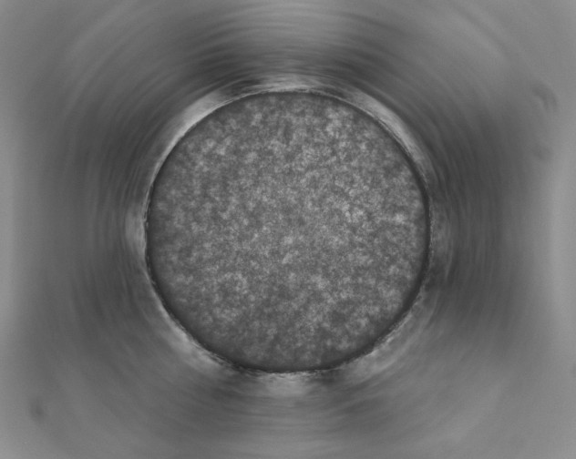 X0000111220810200908131100