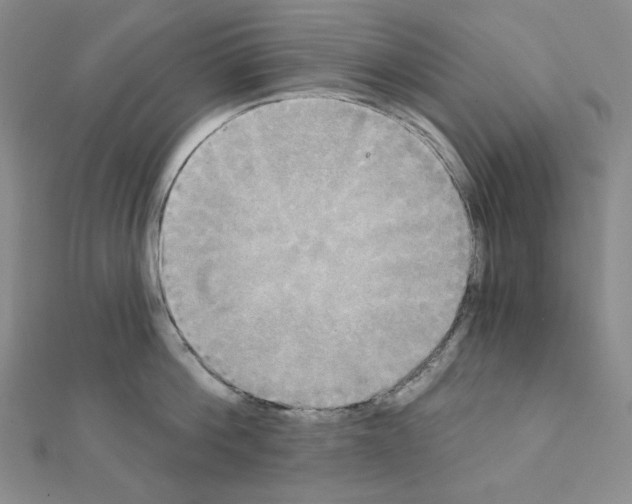 X0000111220812200908131100