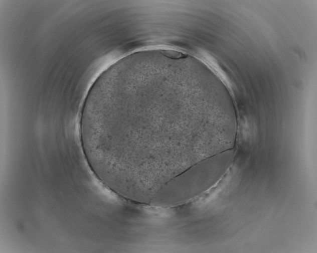 X0000111220813200908131100