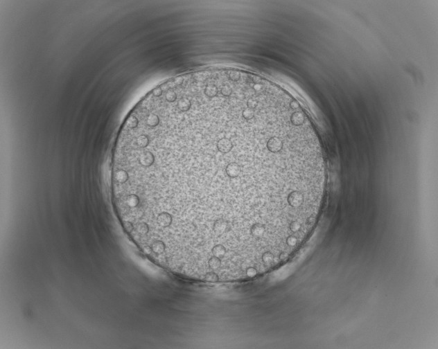 X0000111220814200908131100