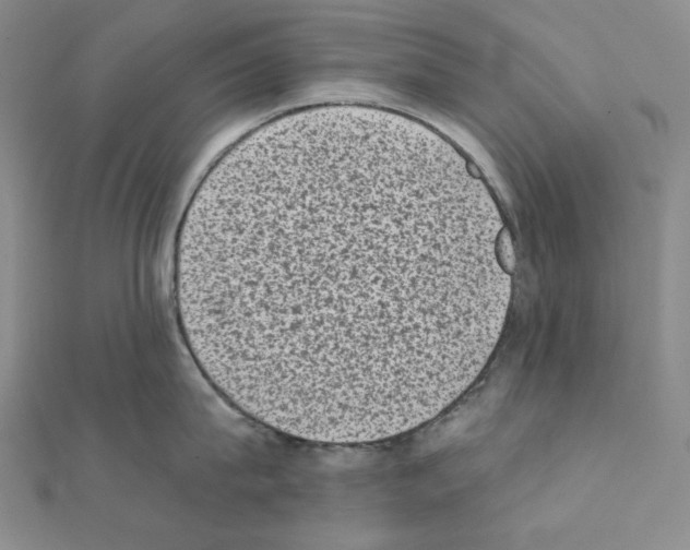 X0000111220815200908131100
