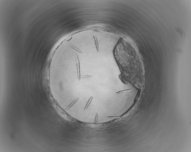 X0000111220816200908131100