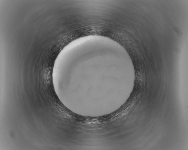 X0000111220818200908131059