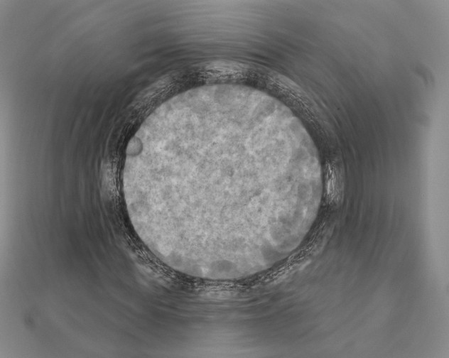 X0000111220819200908131059