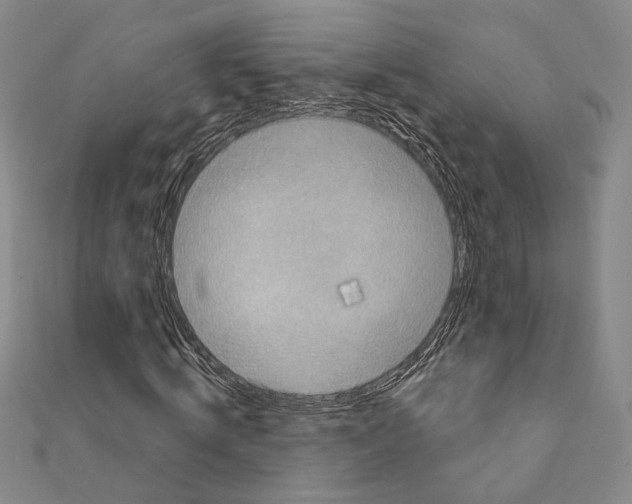 X0000111220820200908131059