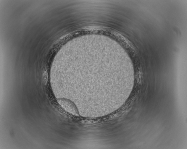 X0000111220821200908131059