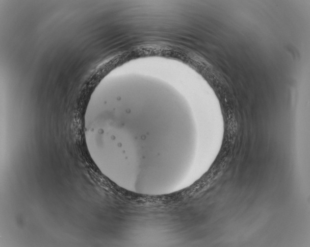 X0000111220822200908131059