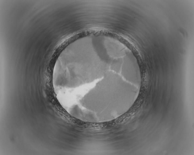 X0000111220823200908131059