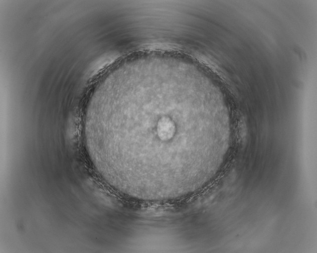 X0000111220824200908131059