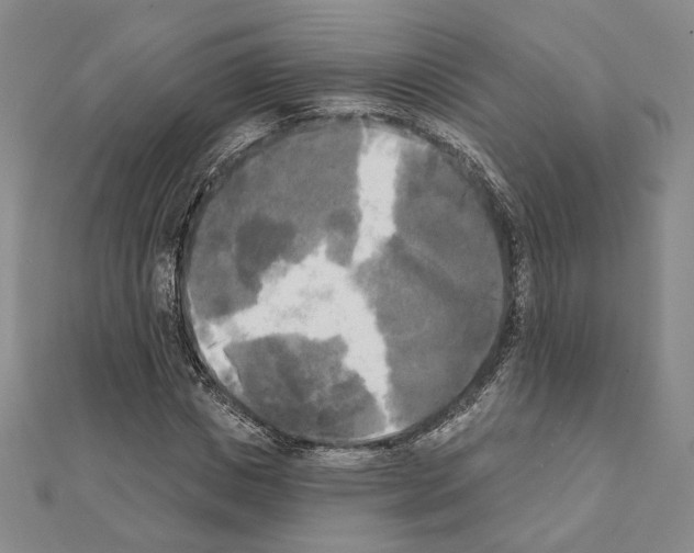 X0000111220825200908131059