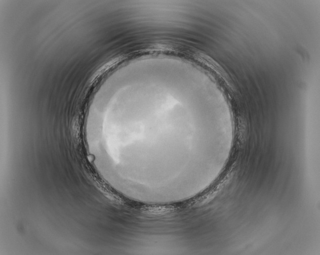 X0000111220826200908131059