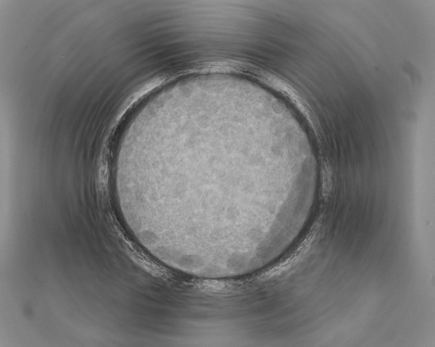 X0000111220827200908131059