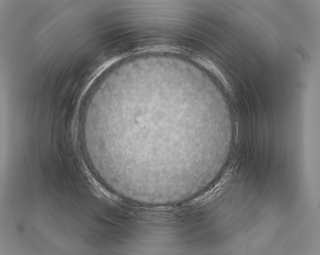 X0000111220828200908131059