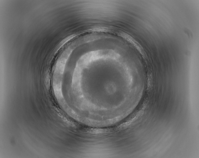 X0000111220829200908131059