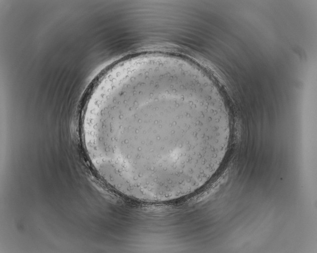 X0000111220830200908131059