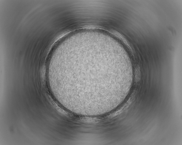 X0000111220831200908131059