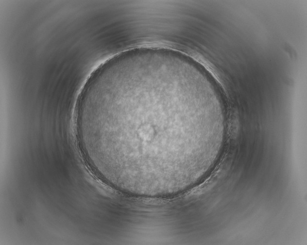 X0000111220832200908131059