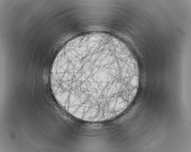 X0000111220833200908131059