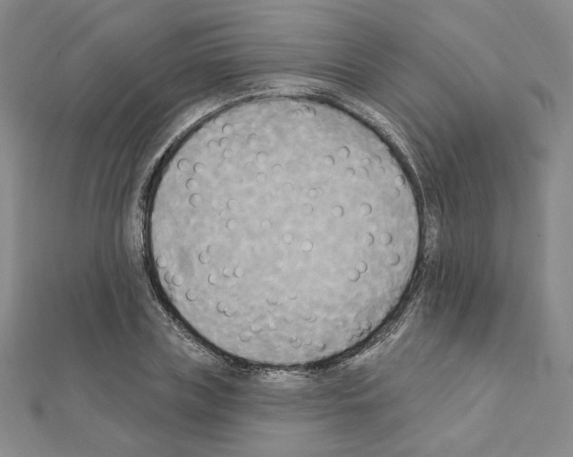 X0000111220835200908131059