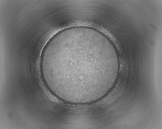 X0000111220836200908131059