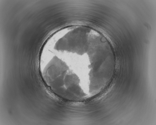 X0000111220837200908131059