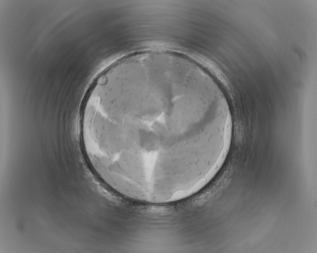 X0000111220839200908131059