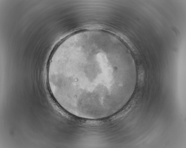 X0000111220840200908131059