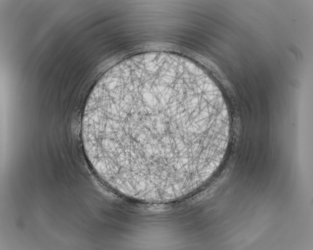 X0000111220841200908131059