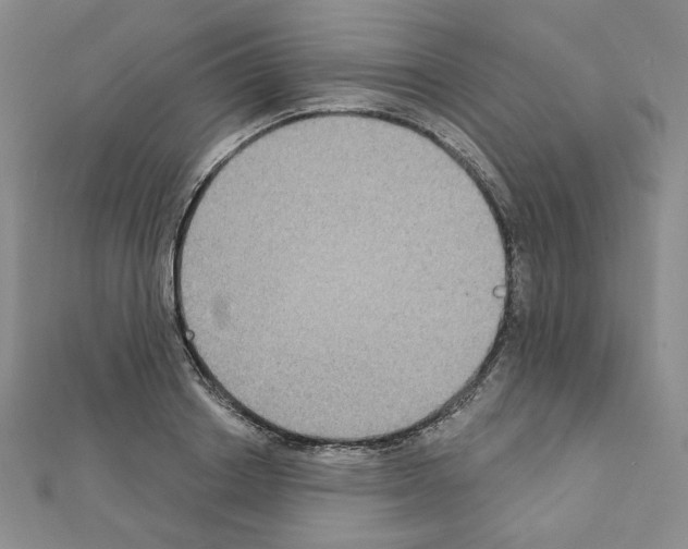 X0000111220842200908131059