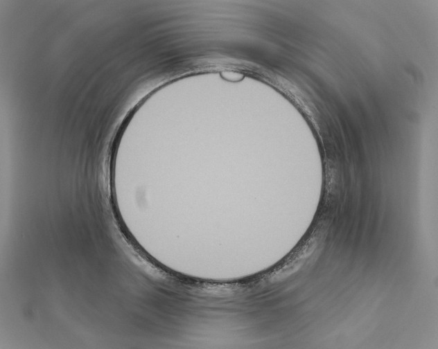 X0000111220843200908131059