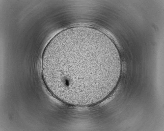 X0000111220844200908131059