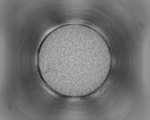 X0000111220846200908131059