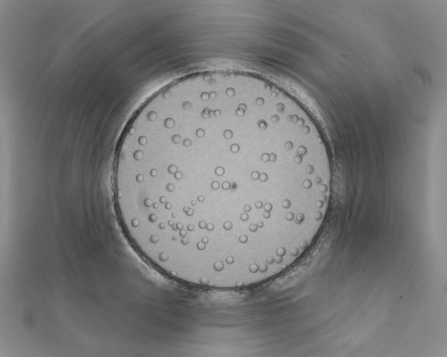 X0000111220847200908131059