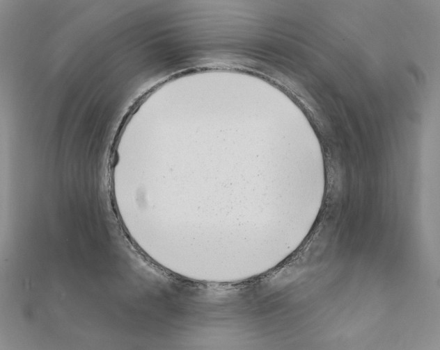 X0000111220848200908131059