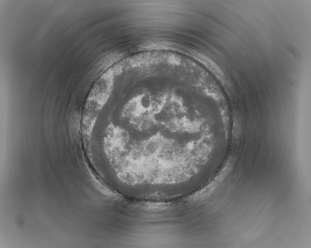 X0000111220849200908131059