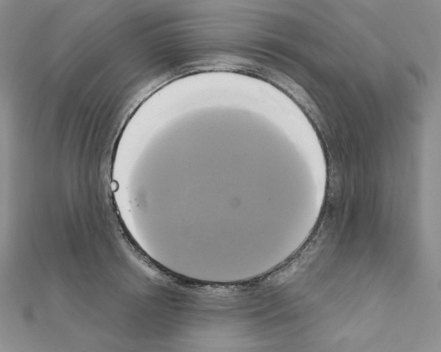 X0000111220850200908131059
