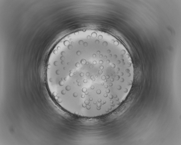 X0000111220851200908131059