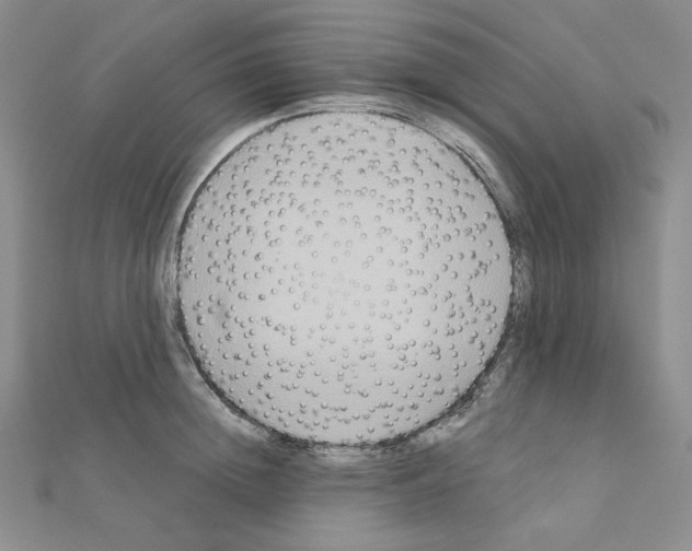 X0000111220852200908131059
