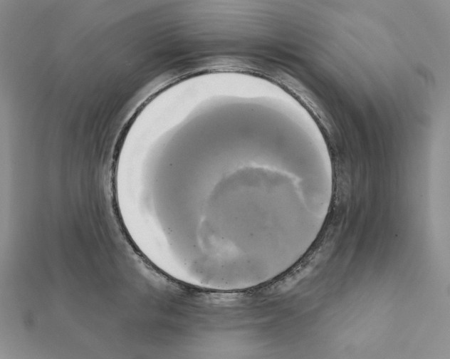 X0000111220853200908131059
