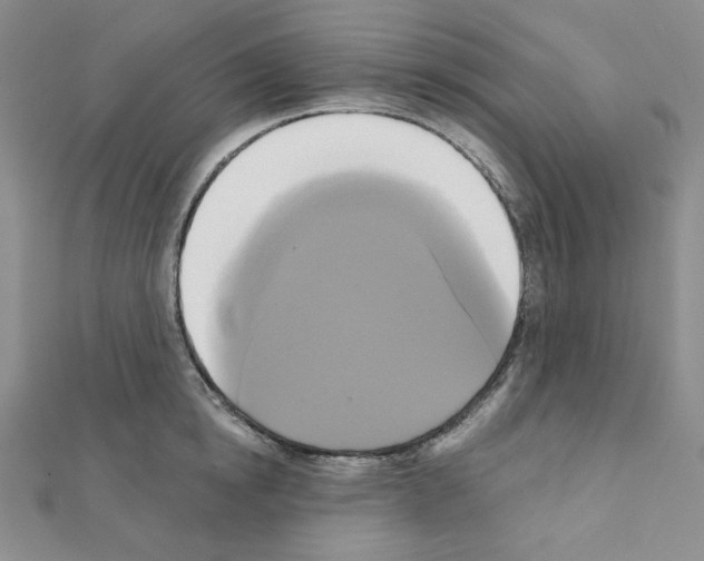 X0000111220854200908131059